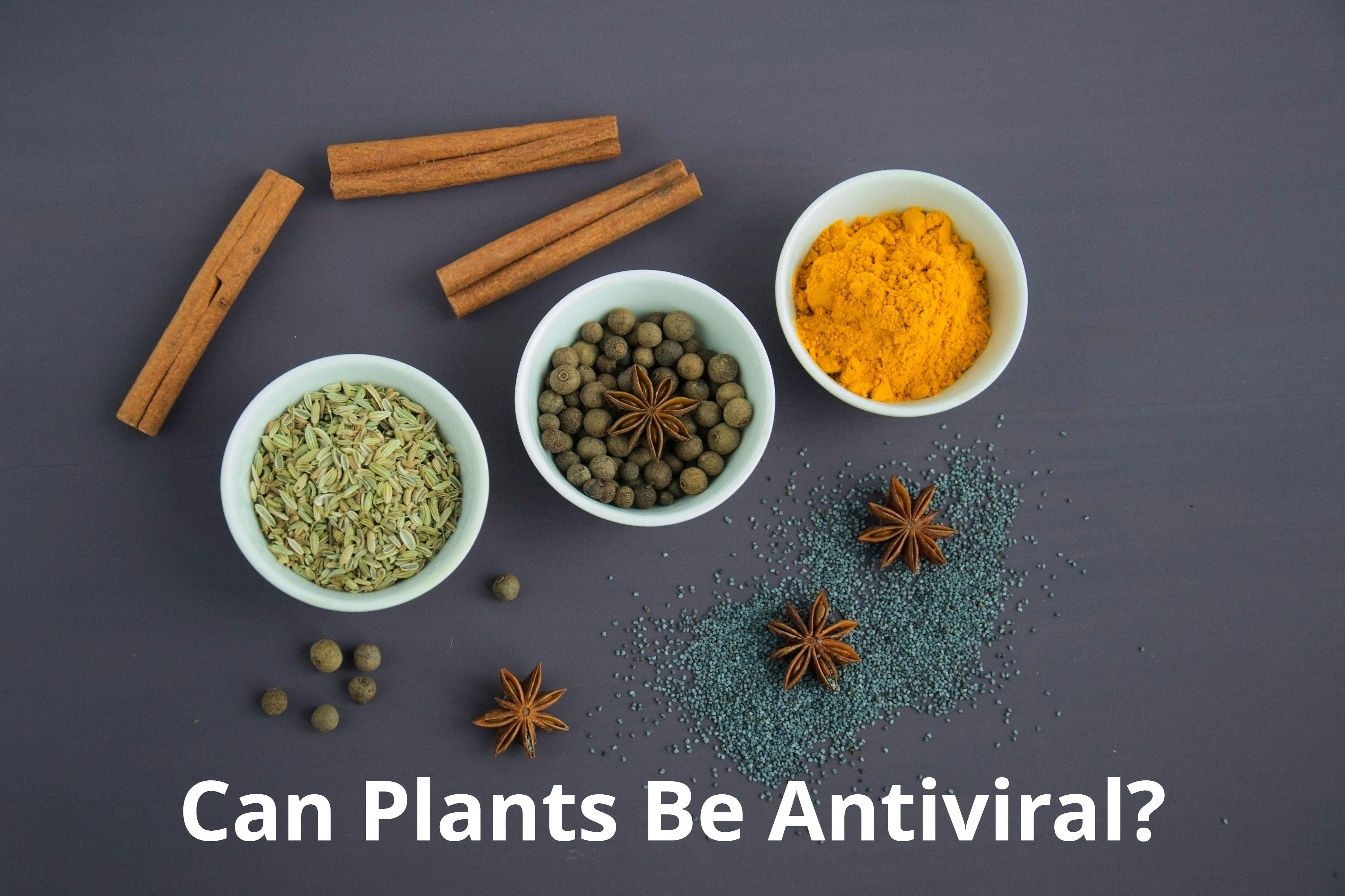 Can Plants Be Antiviral?