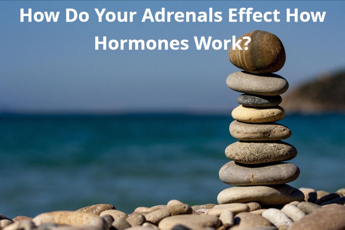 How Do Your Adrenals Effect Hormonal Health?