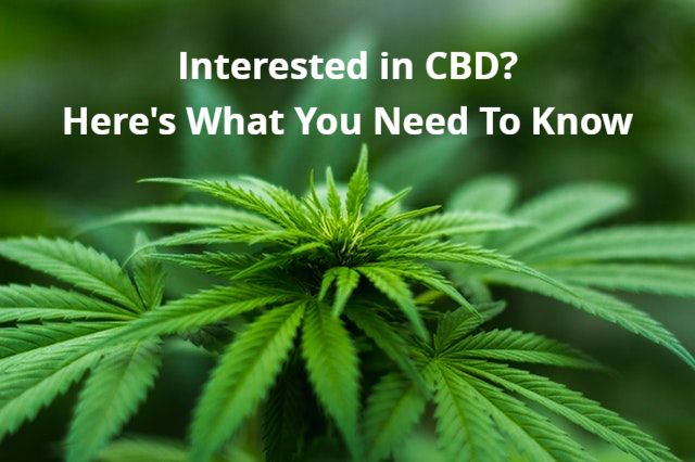 Interested In CBD? Here's What You Need To Know