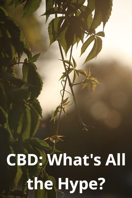 CBD: What's All The Hype?
