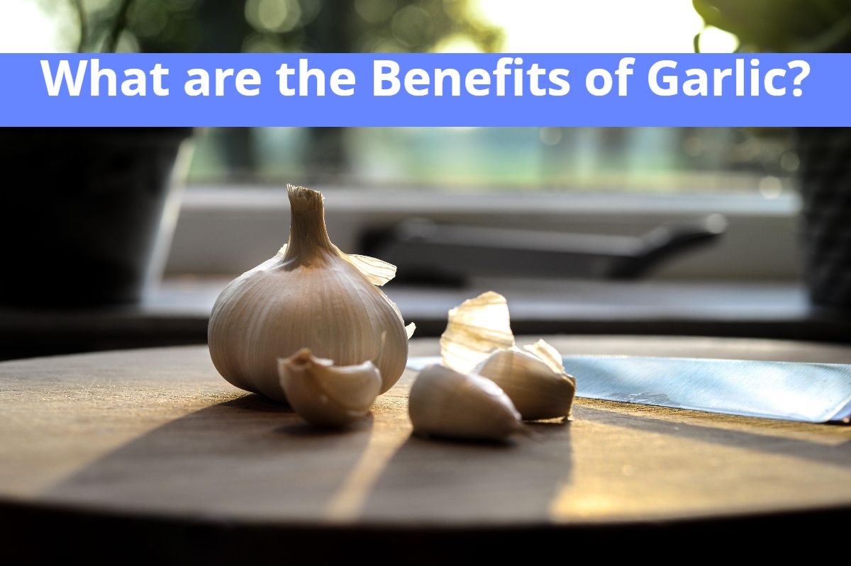 What Are The Benefits Of Garlic?