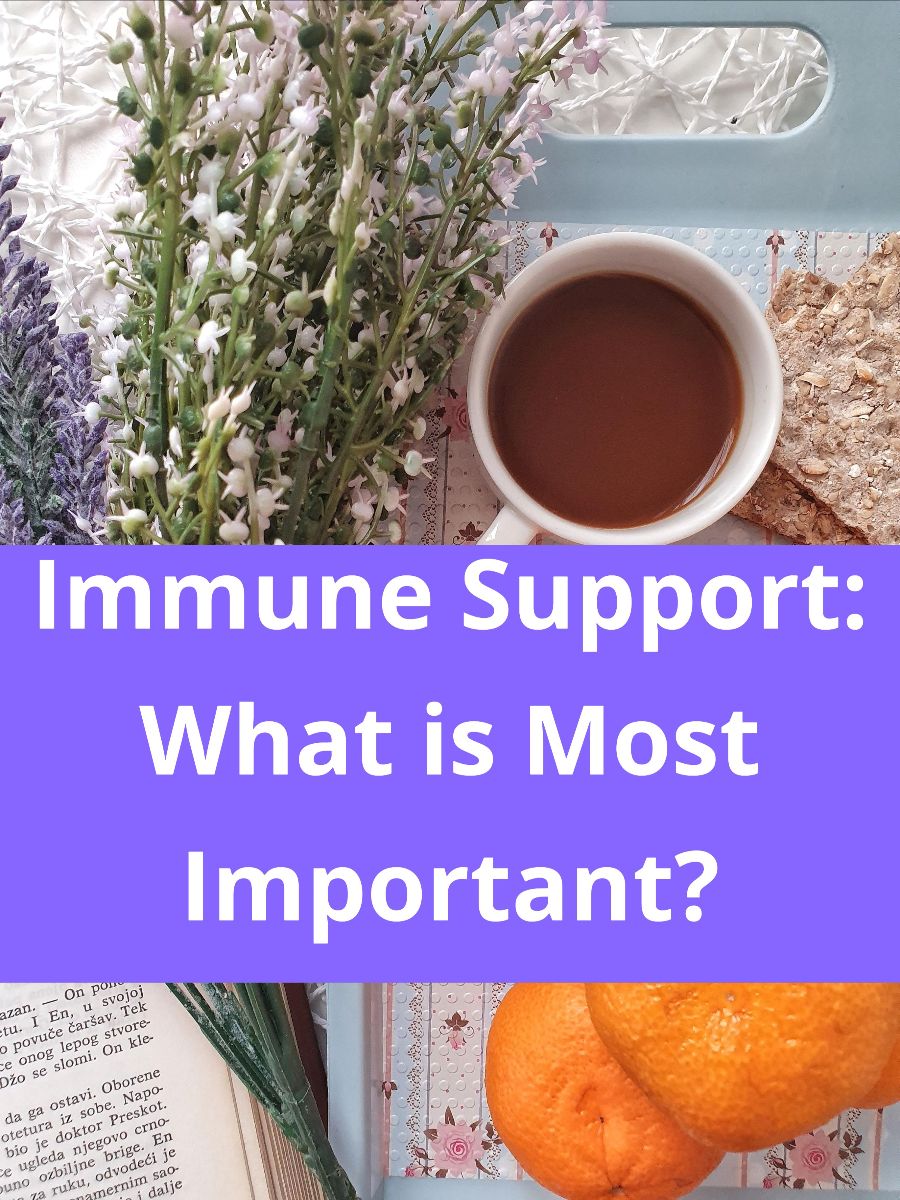Immune Support: What Is Most Important?