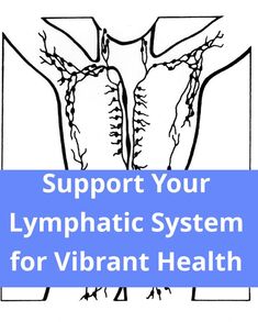 Support Your Lymphatic System For Vital Health