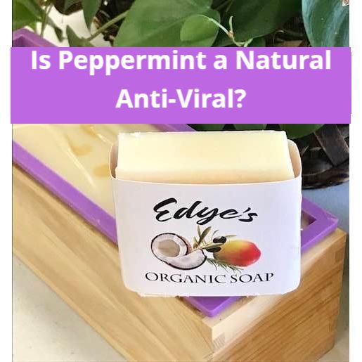 Is Peppermint A Natural Anti-Viral?