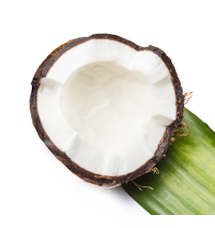 Organic Coconut Oil - Edye's Naturals